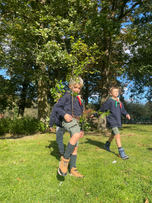 Sint-Martinus den XIIde - september-oktober